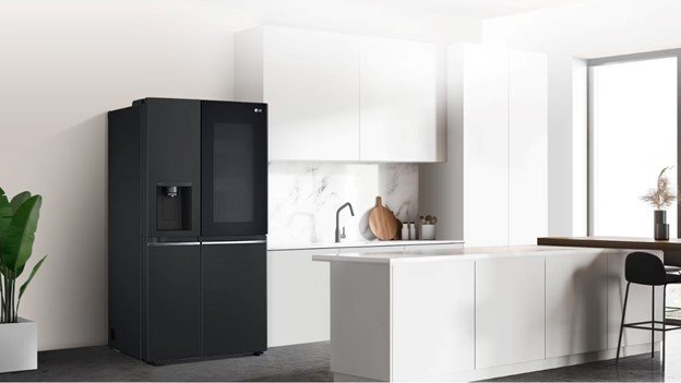 Tủ Lạnh LG Inverter 635 Lít GR-G257BL