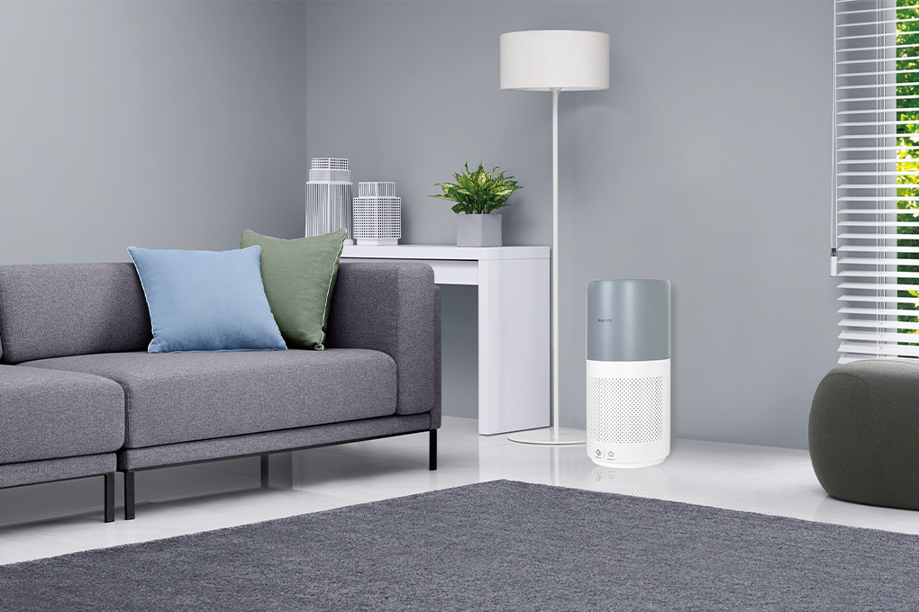 Máy lọc không khí Philips AC2936/13